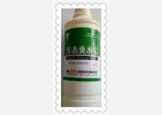 &#20048;&#31454;&#32593;&#39029;&#29256;&#30331;&#24405;&#20837;&#21475;&#45;&#20048;&#31454;&#40;&#20013;&#22269;&#41;