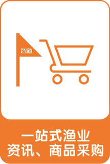 &#20048;&#31454;&#32593;&#39029;&#29256;&#30331;&#24405;&#20837;&#21475;&#45;&#20048;&#31454;&#40;&#20013;&#22269;&#41;