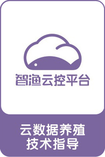 &#20048;&#31454;&#32593;&#39029;&#29256;&#30331;&#24405;&#20837;&#21475;&#45;&#20048;&#31454;&#40;&#20013;&#22269;&#41;